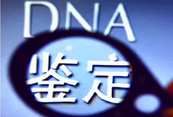 伊春医院DNA亲子鉴定如何办理(2024最新)