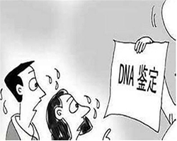 广东省隐私DNA亲子鉴定要多少钱的费用，广东省隐私亲子鉴定办理流程