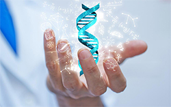 安徽DNA亲子鉴定哪些医院能做，安徽医院做DNA鉴定办理流程