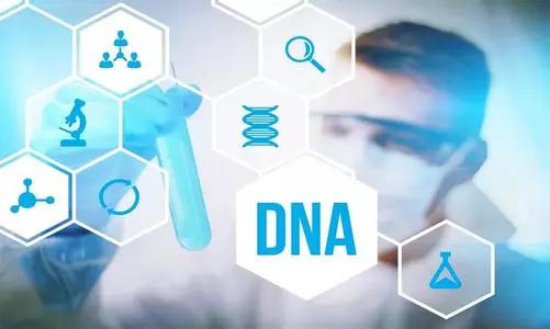 陕西DNA亲子鉴定中心在哪,陕西亲子鉴定需要的材料