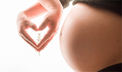 兴义怀孕了如何办理胎儿亲子鉴定，兴义无创怀孕亲子鉴定多少钱