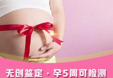 在邵阳怀孕几个月需要如何做产前亲子鉴定,在邵阳怀孕几个月做亲子鉴定哪里做的准
