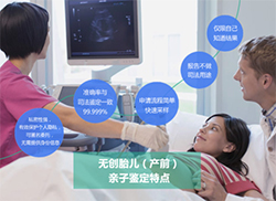 湘潭怀孕期间要如何办理胎儿亲子鉴定，湘潭无创孕期亲子鉴定价格