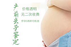 湖北省刚怀孕需要如何做胎儿DNA亲子鉴定，湖北省无创孕期亲子鉴定价格收费