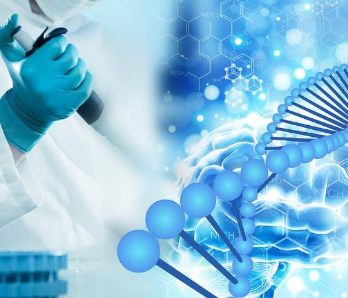 西安第一人民医院可以做DNA鉴定吗,医院做DNA亲子鉴定需要什么材料和流程