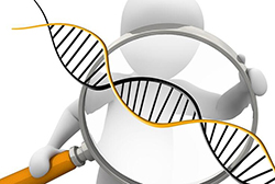 文山如何偷偷做DNA鉴定，文山DNA亲子鉴定办理指南