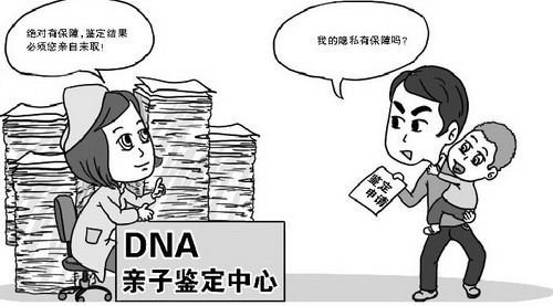 北京市司法DNA亲子鉴定如何办理,北京市司法DNA亲子鉴定要多少钱